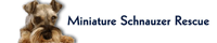 Mini Schnauzer Logo